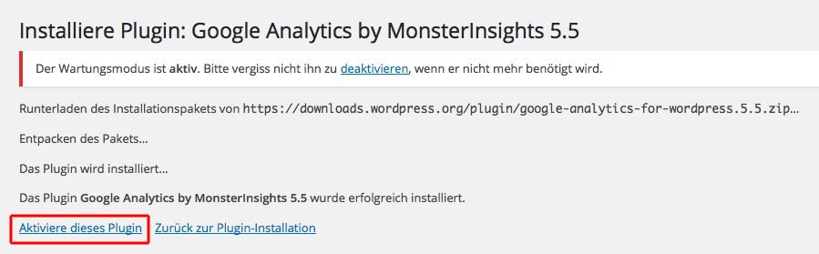 Analytic by Monsterinsights aktivieren