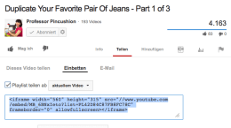 Einbetten leicht gemacht: YouTube liefert Euch einen Code, den Ihr nur noch in Eurem Blog einfügen müsst. Screenshot: S. Cantzler